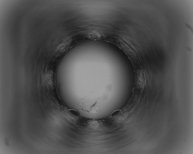 X0000093390616200710191155