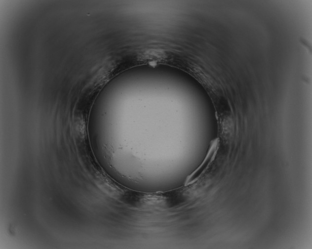 X0000093390617200710191155