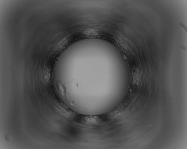 X0000093390618200710191155