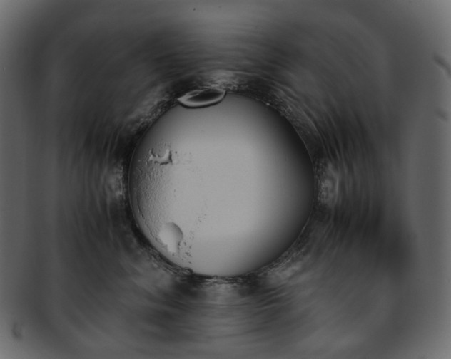 X0000093390620200710191155