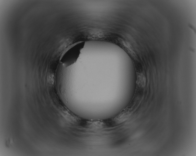 X0000093390621200710191155