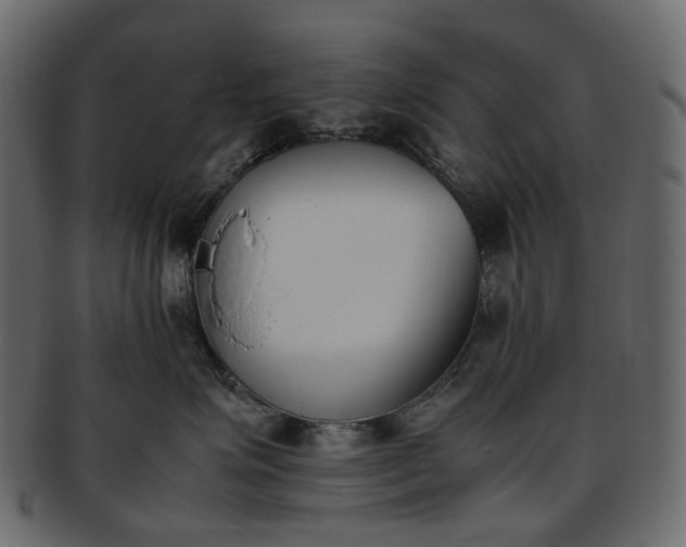 X0000093390623200710191155