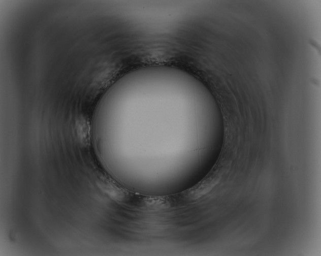 X0000093390624200710191155