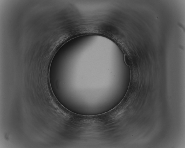 X0000093390625200710191154