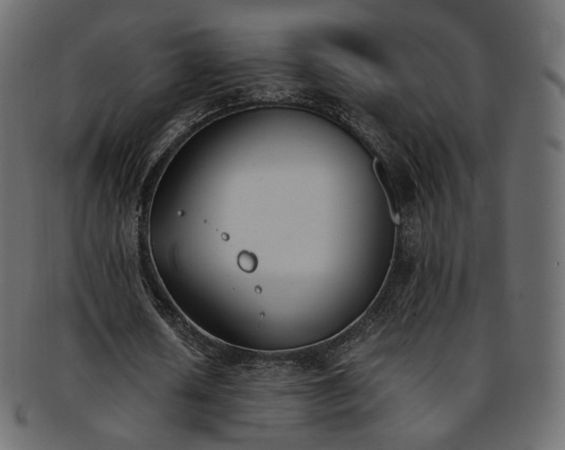 X0000093390626200710191154