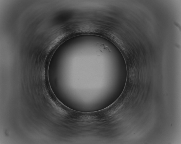 X0000093390629200710191154