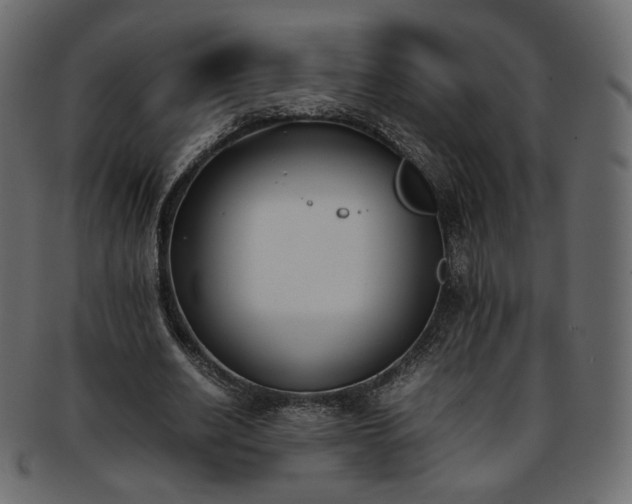 X0000093390630200710191154