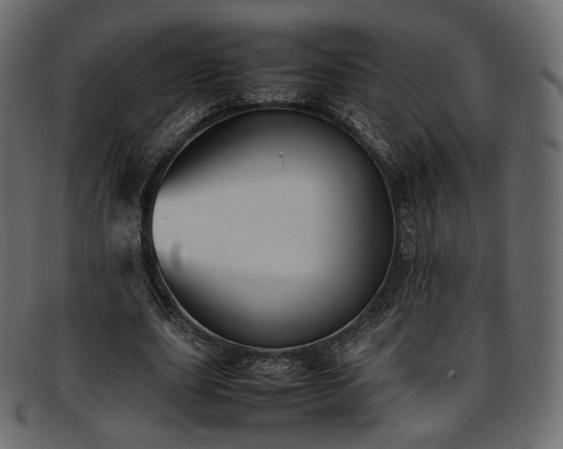 X0000093390631200710191154