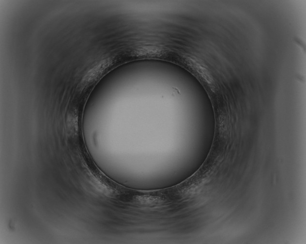 X0000093390633200710191154