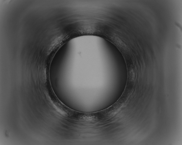 X0000093390638200710191154