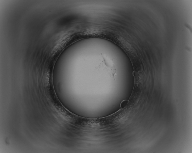 X0000093390640200710191154