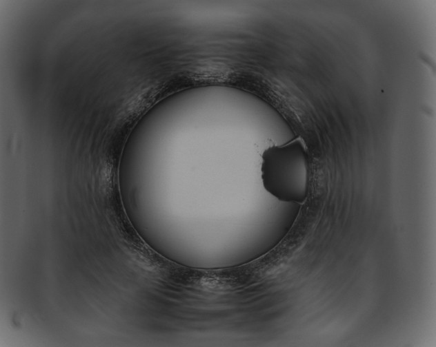 X0000093390641200710191154