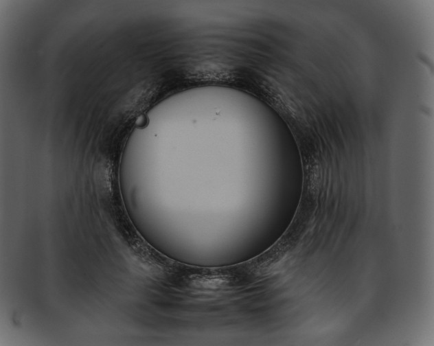 X0000093390643200710191154