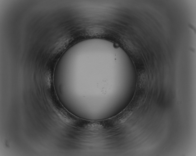 X0000093390644200710191154