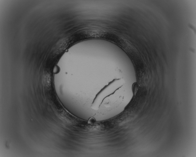 X0000093390646200710191154