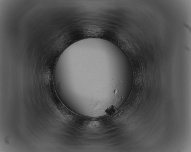 X0000093390647200710191154