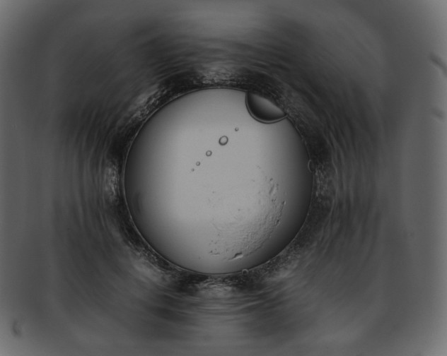 X0000093390648200710191154