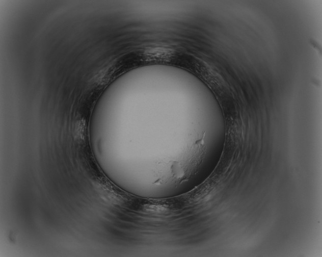 X0000093390649200710191154