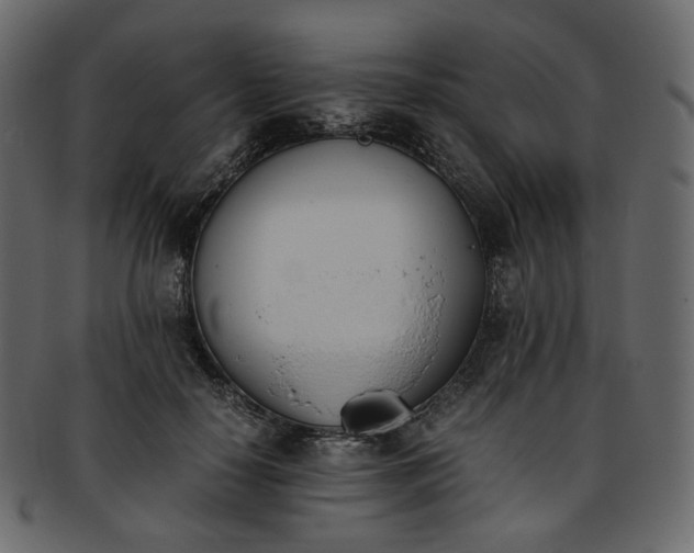 X0000093390650200710191154