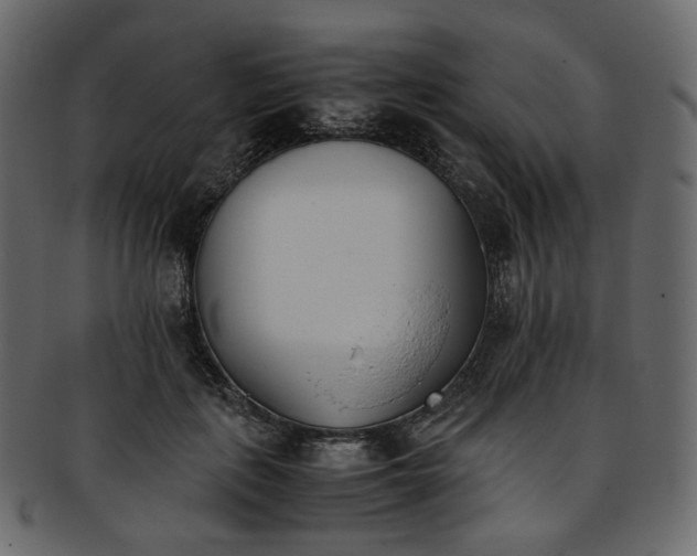 X0000093390651200710191154