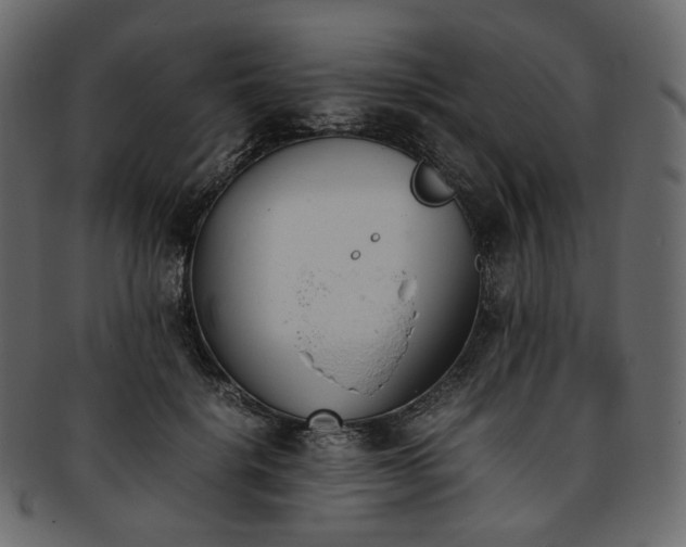 X0000093390652200710191154