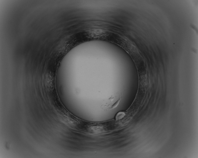 X0000093390653200710191154