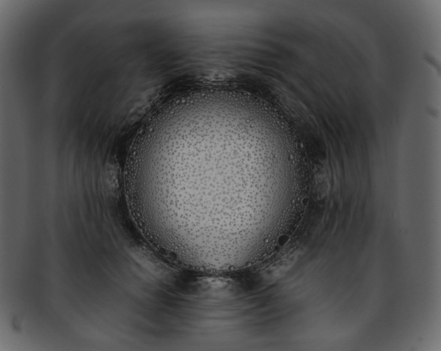 X0000093390654200710191154