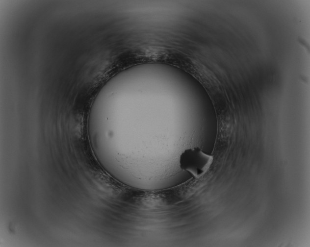 X0000093390656200710191155