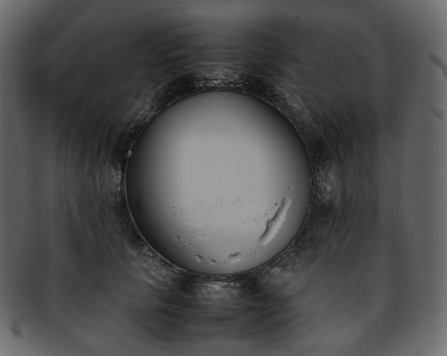 X0000093390657200710191155