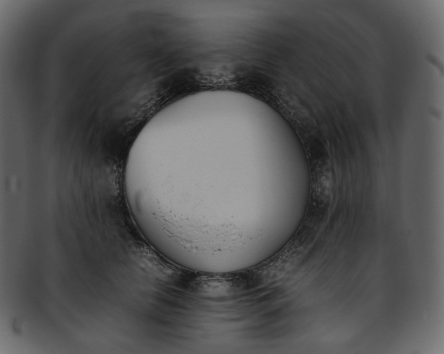 X0000093390658200710191155