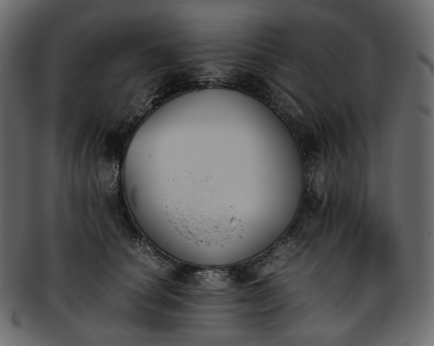 X0000093390660200710191155