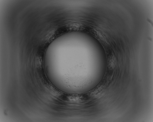 X0000093390661200710191155