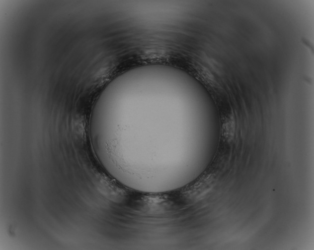 X0000093390662200710191155