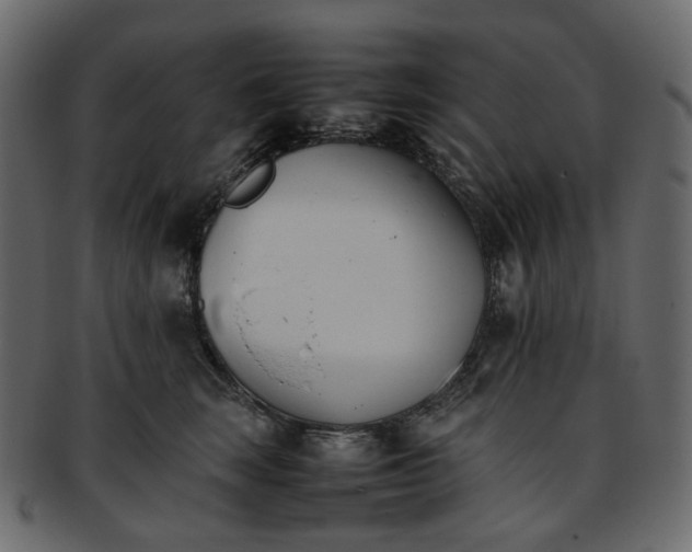 X0000093390663200710191155