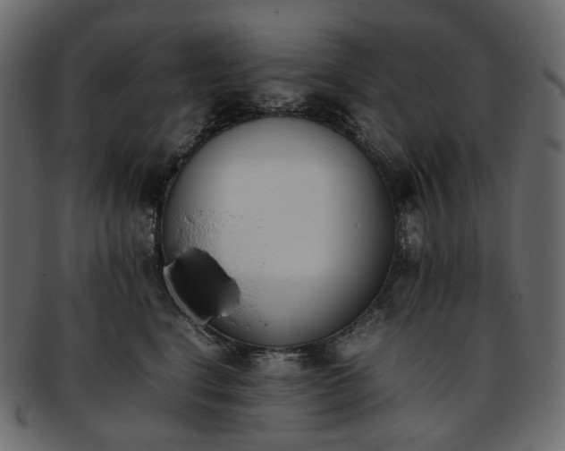 X0000093390664200710191155