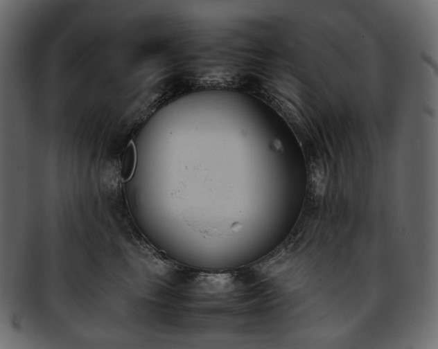 X0000093390665200710191155