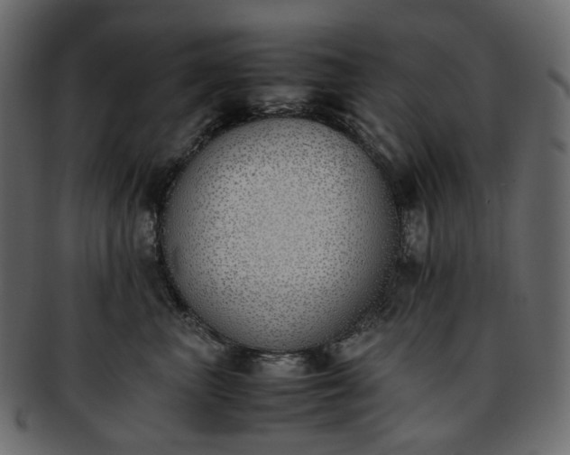 X0000093390667200710191155