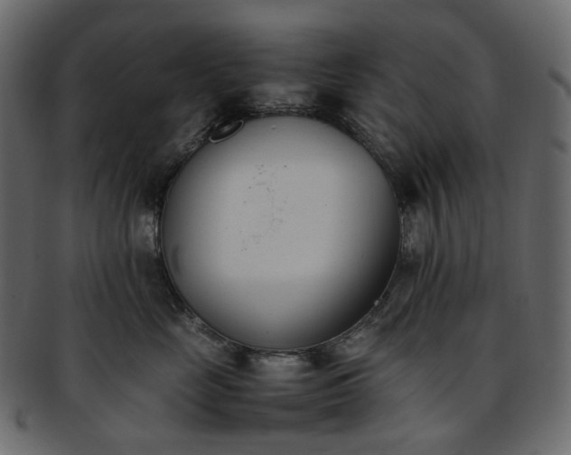 X0000093390669200710191155