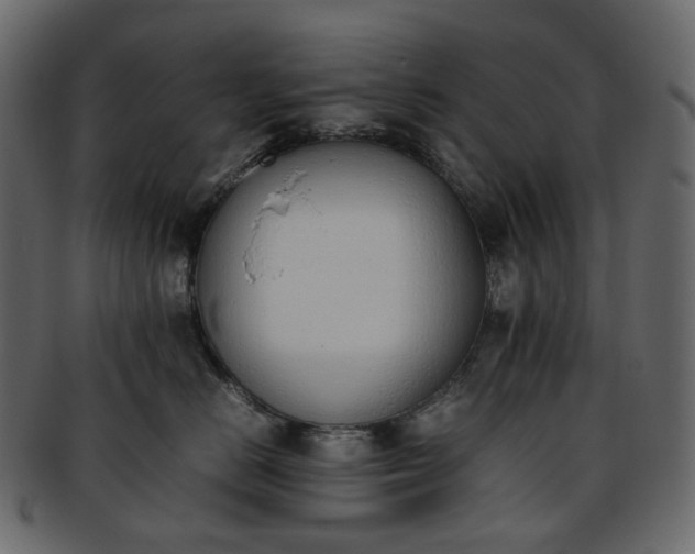 X0000093390670200710191155