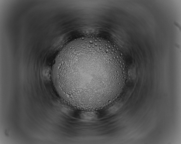 X0000093390671200710191155