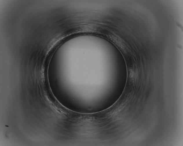 X0000093390676200710191154