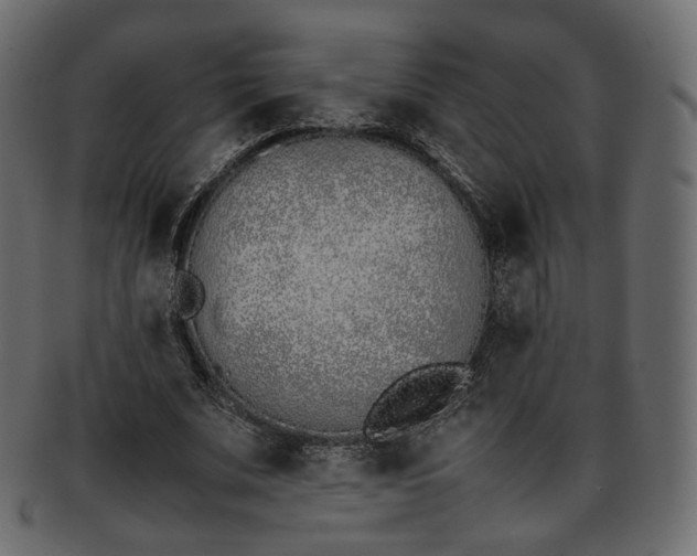 X0000093390679200710191154