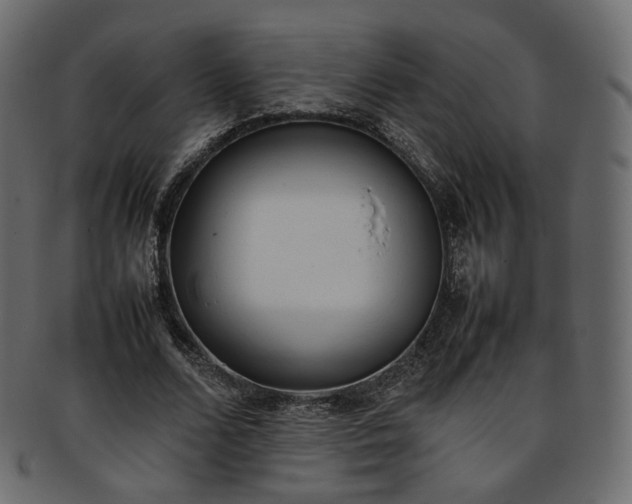 X0000093390680200710191154