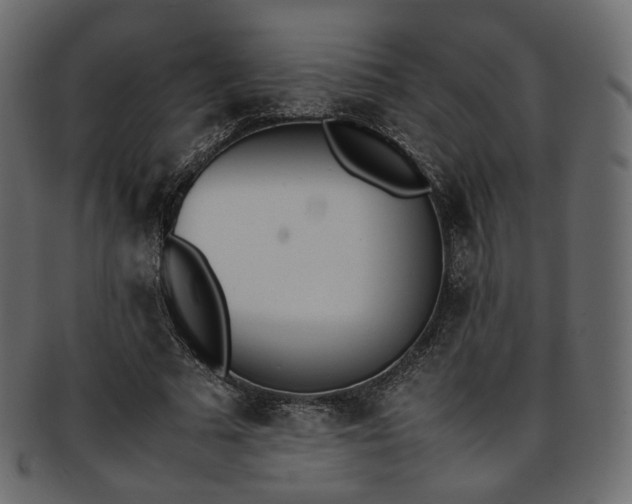 X0000093390681200710191154