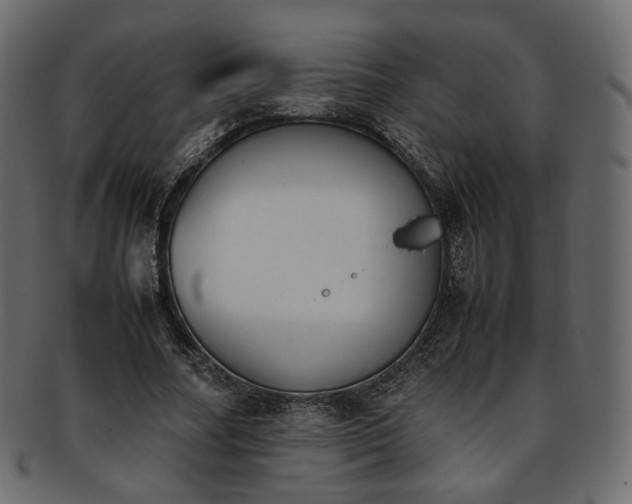 X0000093390682200710191154