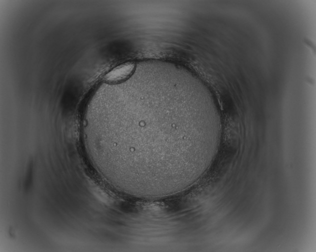 X0000093390683200710191154