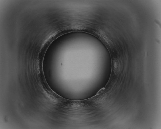 X0000093390684200710191154