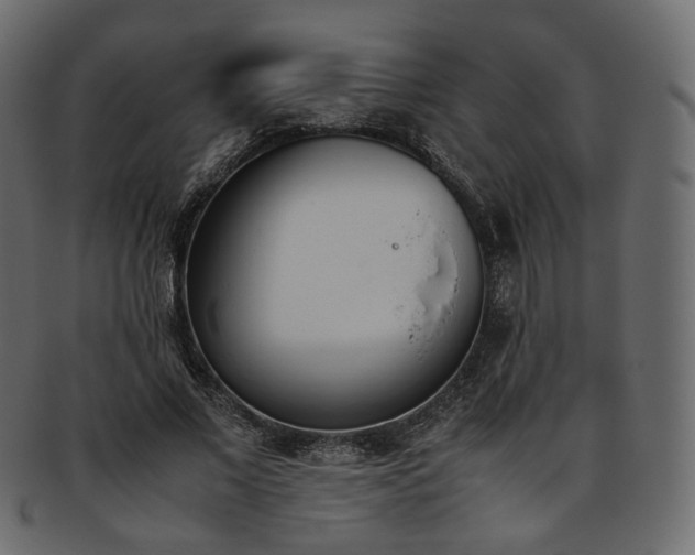 X0000093390685200710191154