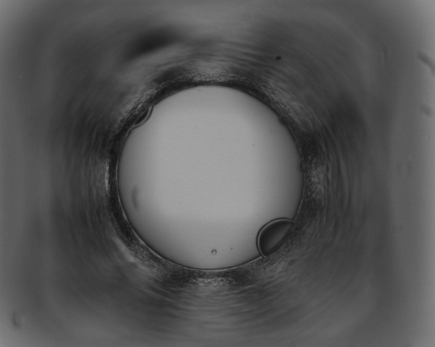 X0000093390686200710191154