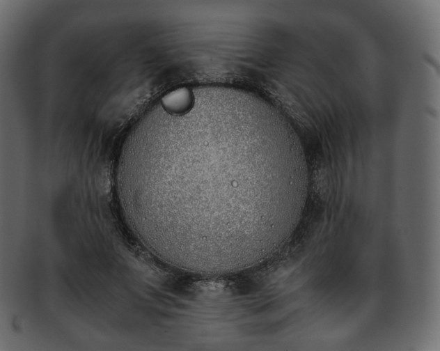 X0000093390687200710191154